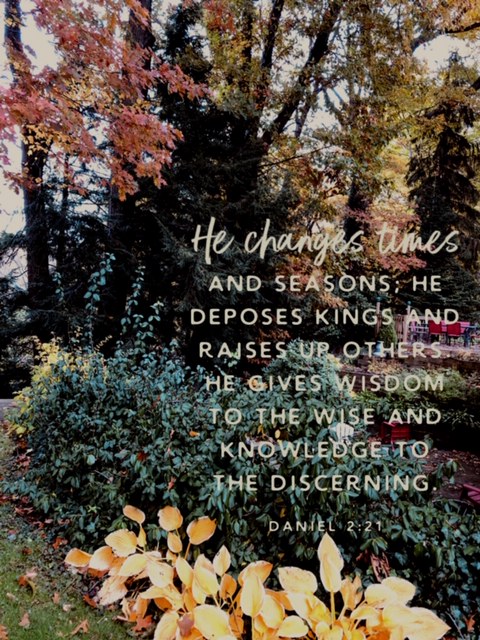 BibleLens_2018_11_05_16_19_24_5970